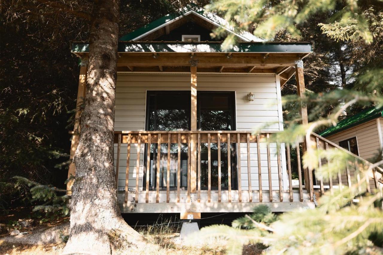 Cabin 3 Lynn View Lodge Haines Exterior photo