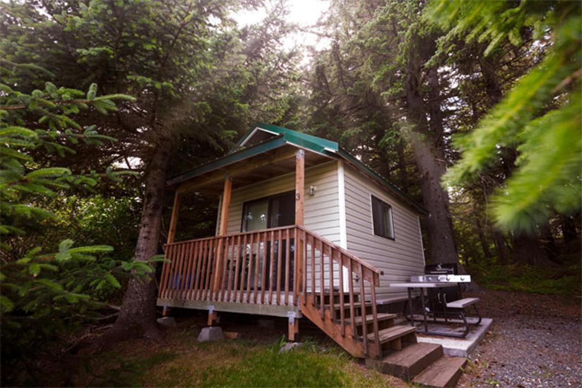 Cabin 3 Lynn View Lodge Haines Exterior photo